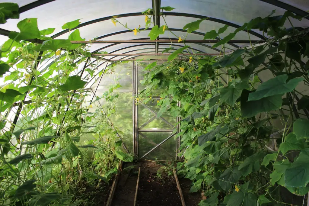 高校实验室离心机选型指南：转速与容量的科学匹配方案