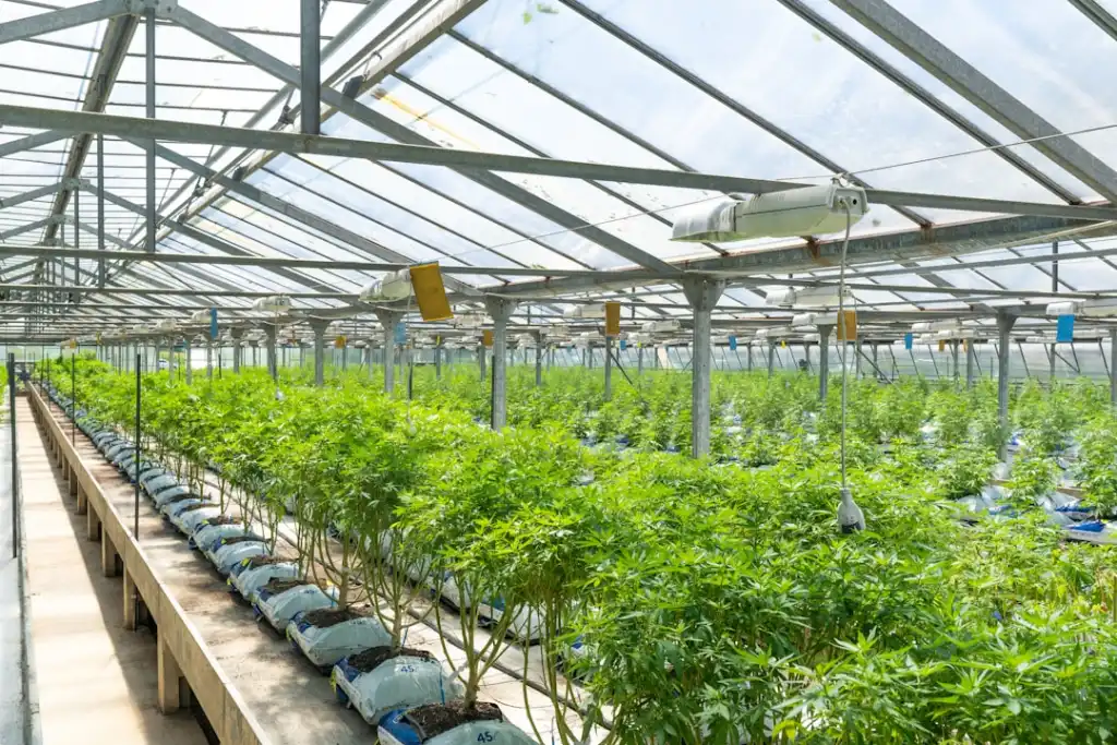 实验室离心机选型指南：转速容量与适配转头的平衡之道封面图