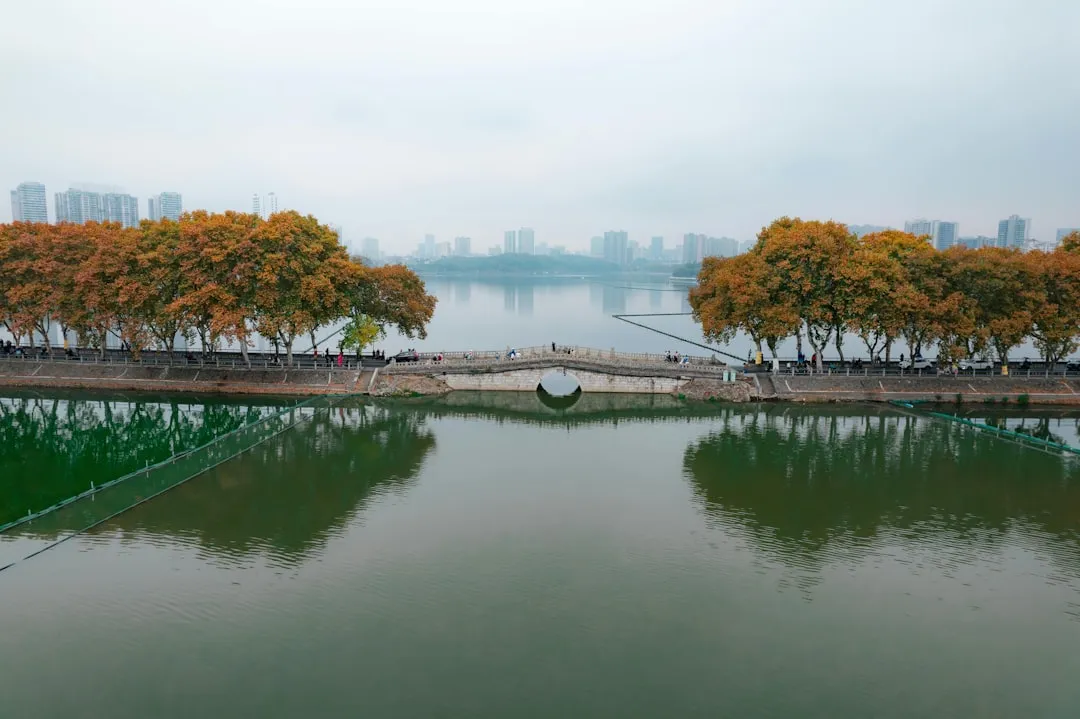 武汉实验室离心机选型要点与高校科研适配方案封面图