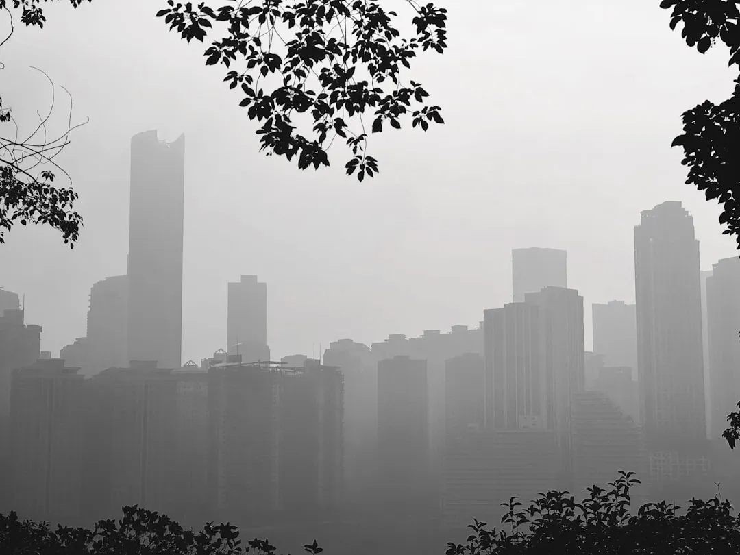 培养箱湿度控制技术对比：二氧化碳培养箱与恒温培养箱的应用差异